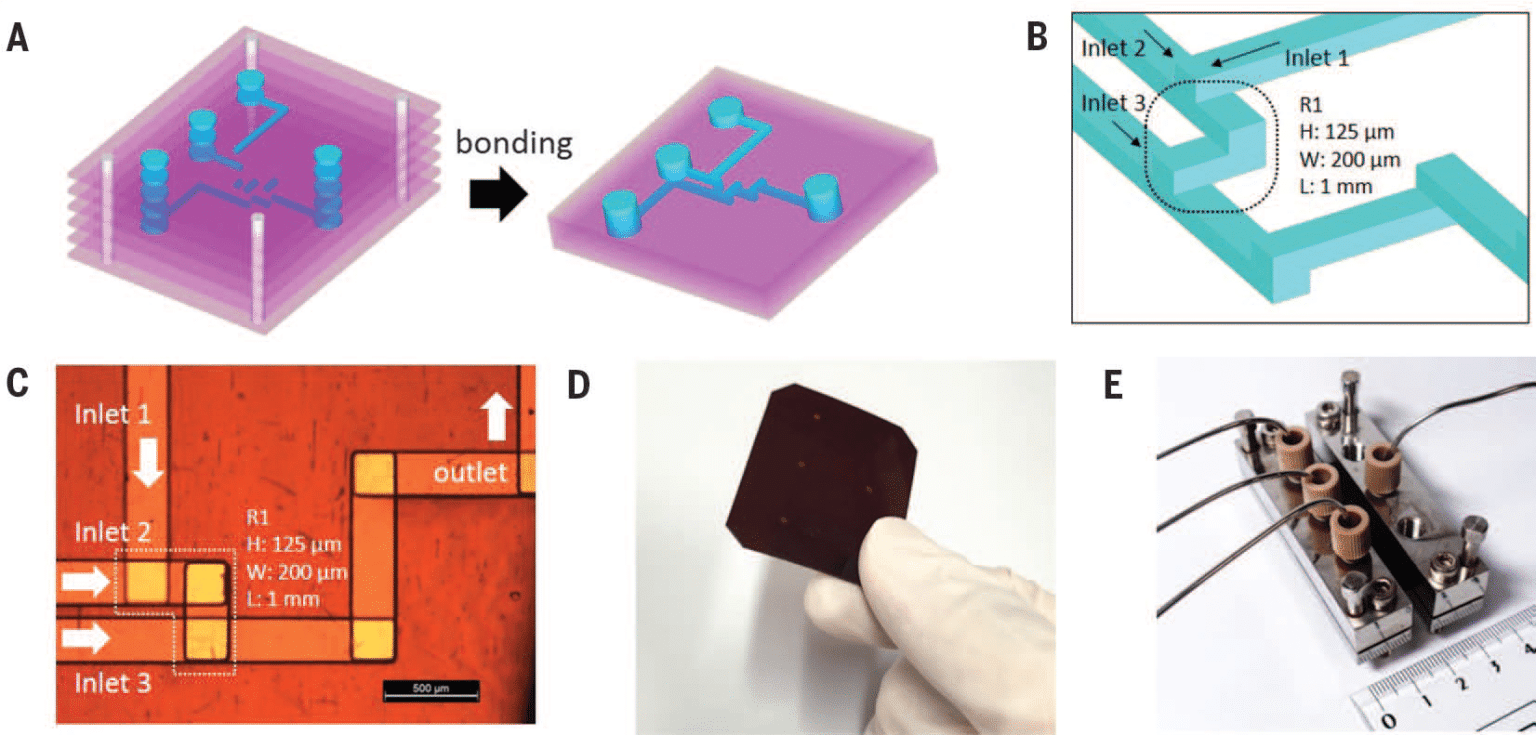 Microfluidic Chips: Key Applications - Fluigent