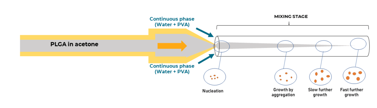 Perform Plga Nanoparticle Synthesis Using 3d Microfluidic Hydrodynamic