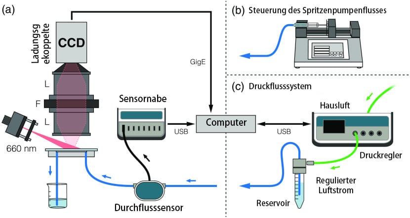 Schematische Darstellung des mikrofluidischen Flussbewertungsaufbaus