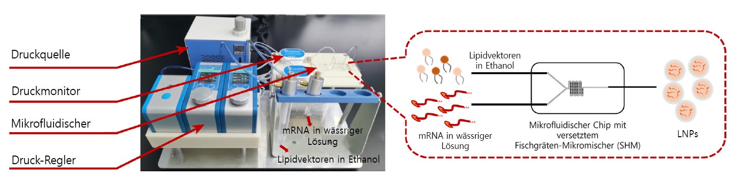 mRNA-Verkapselungsmodul