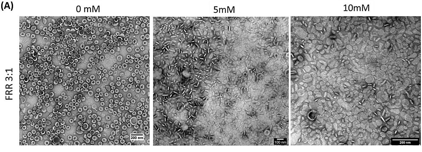 TEM images of the amiodarone-loaded liposomes for different concentrations of amiodarone