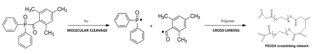 mechanism of cross-linking