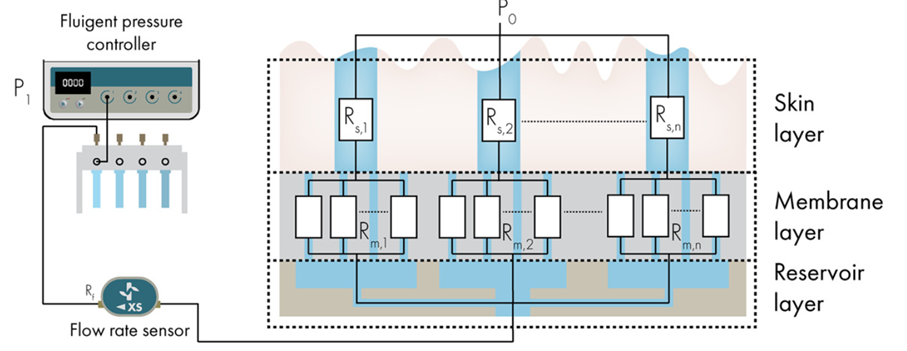 Schematic overview of the working principle of the artificial skin platform