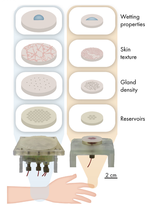 Scheme of of the adaptable components of the artificial skin platform