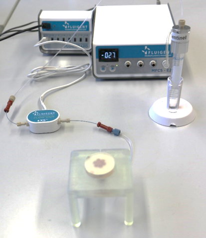 Set up of the artificial skin platform