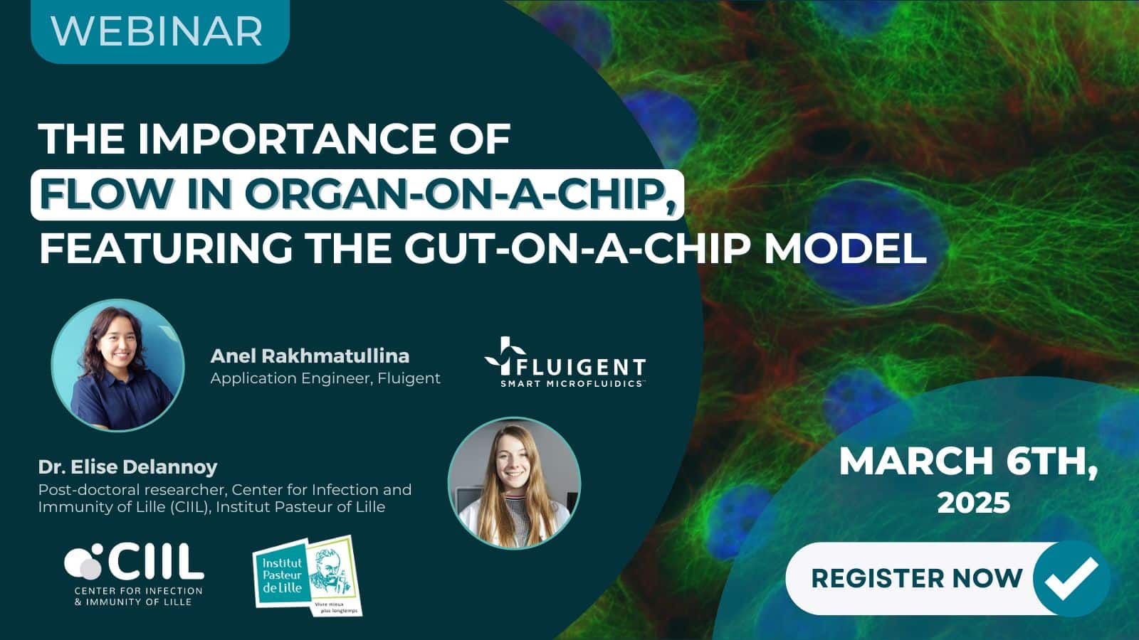 gut on chip webinar image